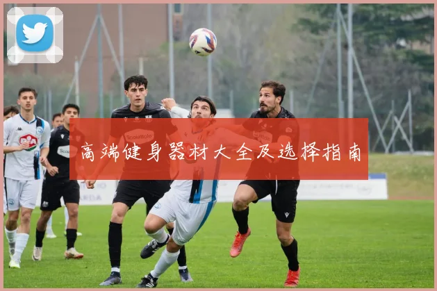 高端健身器材大全及选择指南