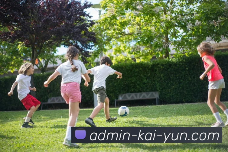 App Interface Preview