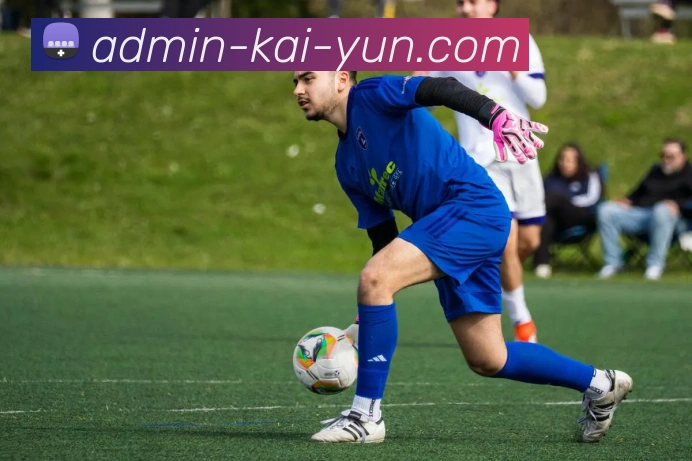 开云APP 高清赛事图